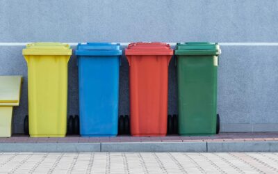 Minimize Odor And Bugs By Cleaning Trash Cans