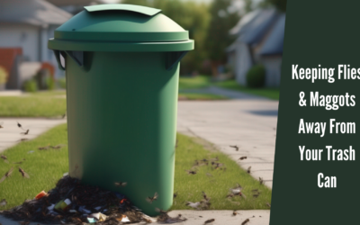 Keeping Flies and Maggots Away With Trash Bin Cleaning