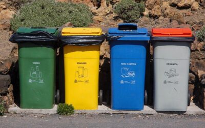 How to Find The Best Trash Bin Cleaning Service Near Me?