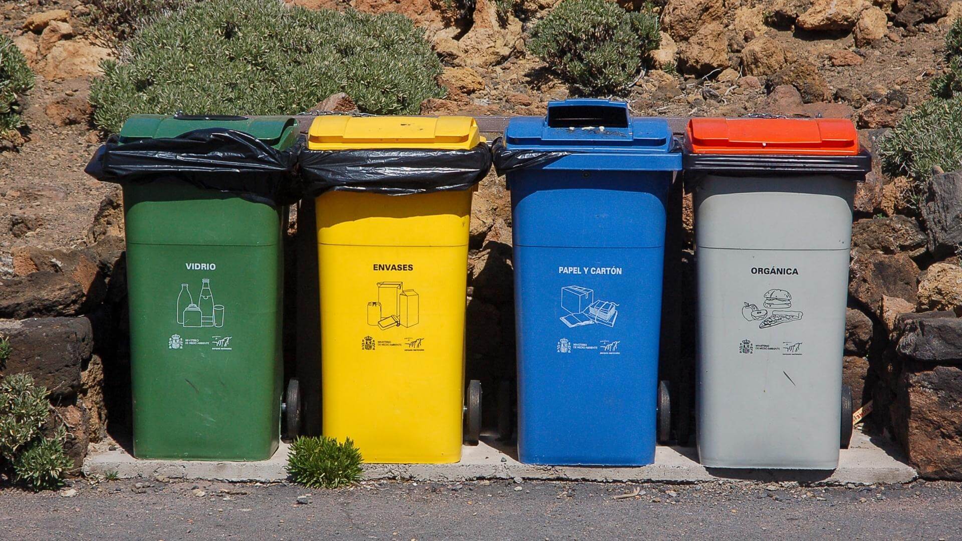 How to Find The Best Trash Bin Cleaning Service Near Me