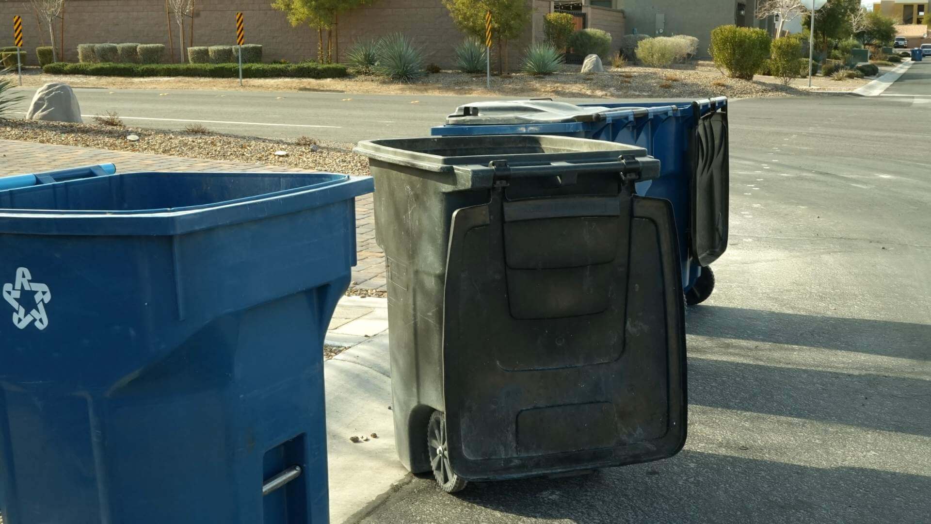 Trash Can Cleaning in Pflugerville